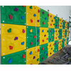 High Quality Indoor Rock Climbing Wall