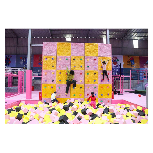 Giant Sports Kindergarten Climbing Wall