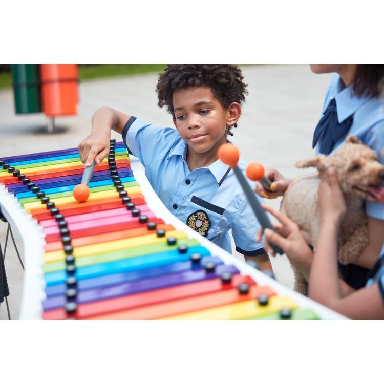 Music Instruments High Quality Percussion Instruments/wooden Bongo Drums