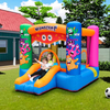 Summer Crazy Commercial Grade Inflatable Slide for Children