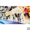 Mini Colorful Commercial Climbing Wall