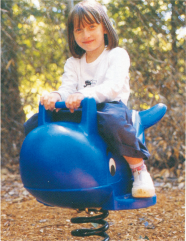 Outdoor Playground Plastic Spring Rider Equipment